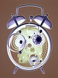 Cross-section of Alarm Clock