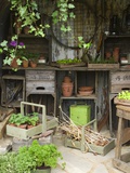 Potting Shed in Garden at Hampton Court Flower Show