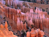USA  Utah  Bryce Canyon
