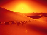 Footprints in desert