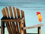 Seychelles  Denis Island  beach chair and fruit cocktail