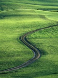 Country lane winding through meadow in the Allgaeu Alps