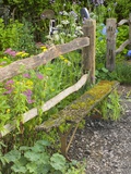 Flower Garden with Old Wood Fence