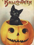 A Merry Halloween