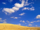 Cumulus Clouds and Wheat Fields in Fall  Washington
