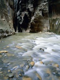The Narrows  Zion National Park  Utah  USA