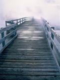 Boardwalk in fog  Yellowstone National Park  Wyoming