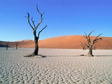 Desert in Namib Naukluft Park - Namibia