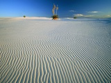 Rippled Sand Dunes in White Sands National Park
