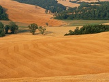 Italy  Tuscany  Crete Senesi