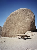 Rock in Joshua Tree National Park
