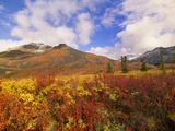 Tundra and Ogilvie Mountains in Fall Colors