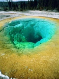 Morning Glory Pool  Yellowstone National Park  Wyoming