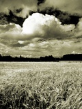 Field Under Cloudy Sky