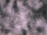 Brushed Aluminum