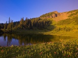 Tipsoo Lake and Naches Peak