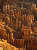 USA  Utah  Bryce Canyon