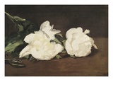 Branch of White Peonies and Secateurs