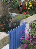 Blue Garden Gate in Spring Garden