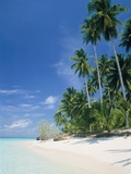 Beach with palms and clear sea  Malaysia  Mabul Island