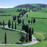 Country road  Tuscany  Italy (near Pienza)