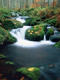 Stream with leaves on mossed stones  Bavarian forest