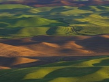 Hilly Landscape