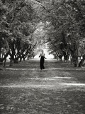Woman Running on Tree Lined Lane
