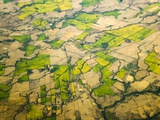 Green Agricultural Fields in Chile