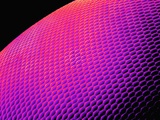 Compound Eye of a Bee