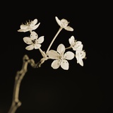 Twig of Tiny Blossoms from Hawthorn Tree