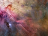 Gas and Dust in Orion Nebula