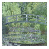 The Waterlily Pond: Green Harmony