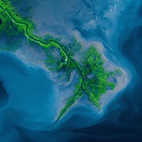 Mississippi Delta Acquired by the Landsat 7 Satellite