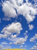 Beautiful Cumulus Clouds and Golden Prairie