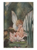 Illustration of Fairy on Water Lily by Fred Spurgin