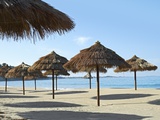 Sunny Beach and Palapas