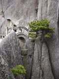 Bridge on Huangshan Mountains