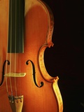 Close-Up of Violin