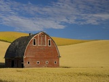 Red Barn in Wheat Field