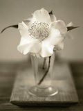 Elegant Flower in Small Vase