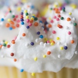 Cupcake with Sprinkles and Frosting