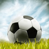 Soccer Ball Resting on Grass