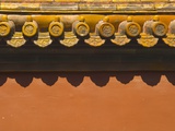 Tiles on Roof of Forbidden City