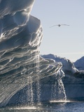 Melting Icebergs in Disko Bay  Greenland