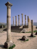 Volubilis Roman Ruins in Morocco