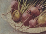Kay's Beets