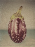 Italian Eggplant