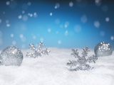 Christmas Decorations in Snow