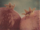 Pomegranates